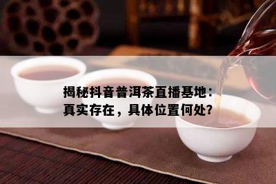 揭秘抖音普洱茶直播基地：真实存在，具  置何处？