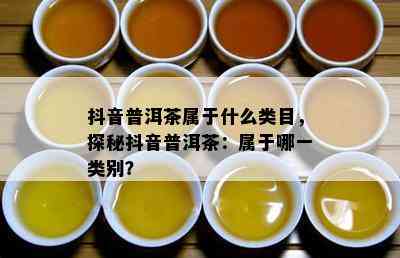 抖音普洱茶属于什么类目，探秘抖音普洱茶：属于哪一类别？