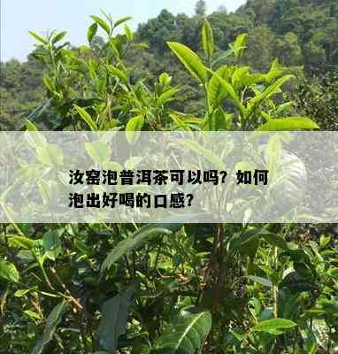 汝窑泡普洱茶可以吗？怎样泡出好喝的口感？