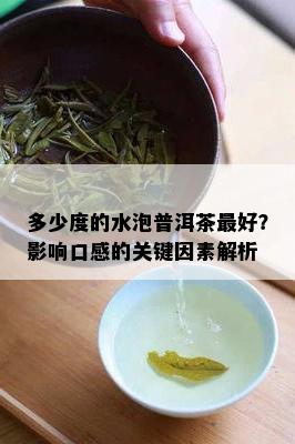 多少度的水泡普洱茶更好？影响口感的关键因素解析