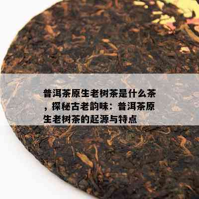 普洱茶原生老树茶是什么茶，探秘古老韵味：普洱茶原生老树茶的起源与特点