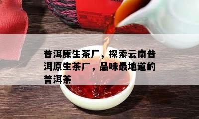 普洱原生茶厂，探索云南普洱原生茶厂，品味最地道的普洱茶