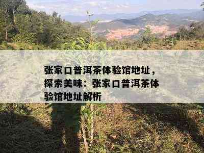 张家口普洱茶体验馆地址，探索美味：张家口普洱茶体验馆地址解析