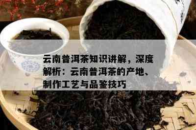 云南普洱茶知识讲解，深度解析：云南普洱茶的产地、制作工艺与品鉴技巧