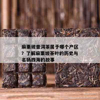 麻栗坡普洱茶属于哪个产区？了解麻栗坡茶叶的历史与名扬四海的故事