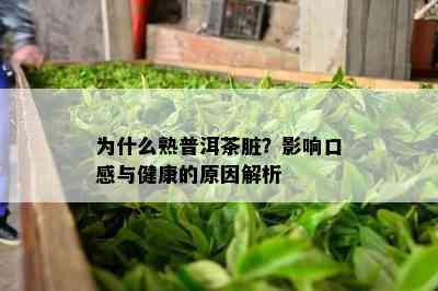 为什么熟普洱茶脏？作用口感与健康的起因解析