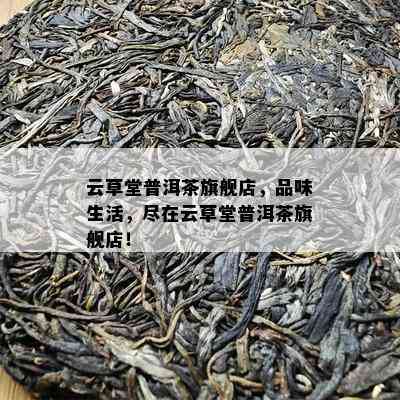 云草堂普洱茶旗舰店，品味生活，尽在云草堂普洱茶旗舰店！