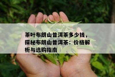 茶叶布朗山普洱茶多少钱，探秘布朗山普洱茶：价格解析与选购指南