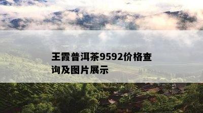 王霞普洱茶9592价格查询及图片展示