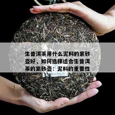 生普洱茶用什么泥料的紫砂壶好，怎样选择适合生普洱茶的紫砂壶：泥料的关键性