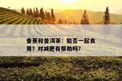 香蕉和普洱茶：能否一起食用？对减肥有帮助吗？