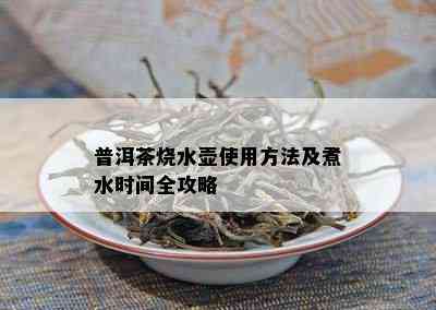 普洱茶烧水壶使用方法及煮水时间全攻略