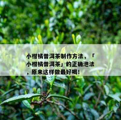 小柑橘普洱茶制作方法，「小柑橘普洱茶」的正确泡法，原来这样做更好喝！