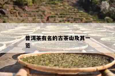 普洱茶有名的古茶山及其一览