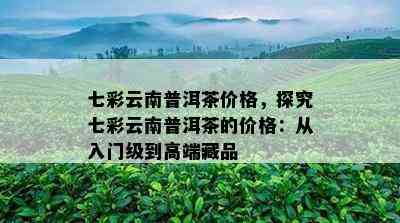 七彩云南普洱茶价格，探究七彩云南普洱茶的价格：从入门级到高端藏品