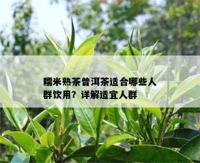 糯米熟茶普洱茶适合哪些人群饮用？详解适宜人群