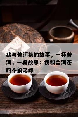 我与普洱茶的故事，一杯普洱，一段故事：我和普洱茶的不解之缘