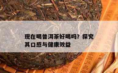 现在喝普洱茶好喝吗？探究其口感与健康效益