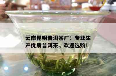 云南昆明普洱茶厂：专业生产优质普洱茶，欢迎选购！