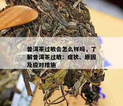 普洱茶过敏会怎么样吗，熟悉普洱茶过敏：症状、起因及应对措施