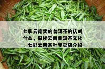 七彩云南卖的普洱茶的店叫什么，探秘云南普洱茶文化：七彩云南茶叶专卖店介绍