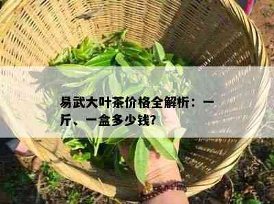 易武大叶茶价格全解析：一斤、一盒多少钱？