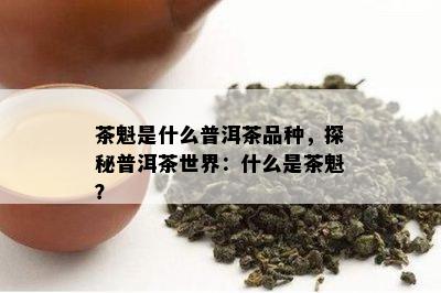 茶魁是什么普洱茶品种，探秘普洱茶世界：什么是茶魁？