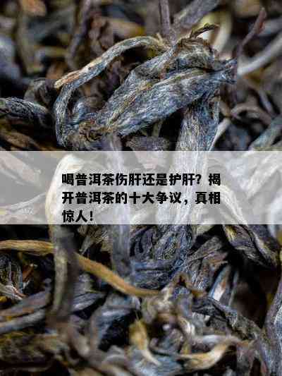 喝普洱茶伤肝还是护肝？揭开普洱茶的十大争议，真相惊人！