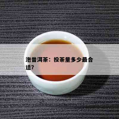 泡普洱茶：投茶量多少最合适？