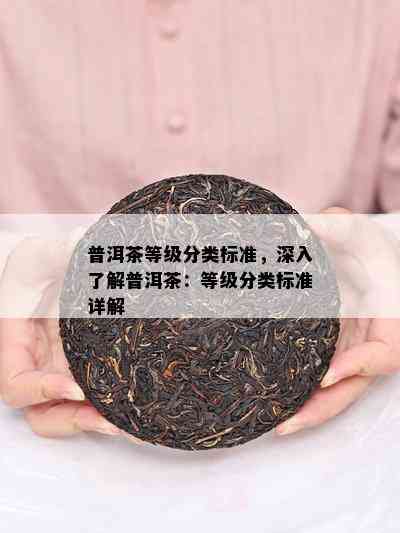 普洱茶等级分类标准，深入了解普洱茶：等级分类标准详解