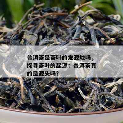 普洱茶是茶叶的发源地吗，探寻茶叶的起源：普洱茶真的是源头吗？