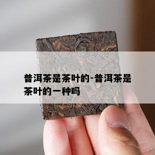 普洱茶是茶叶的-普洱茶是茶叶的一种吗