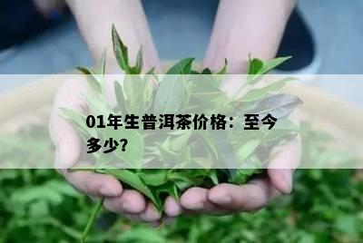 01年生普洱茶价格：至今多少？