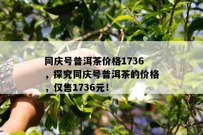 同庆号普洱茶价格1736，探究同庆号普洱茶的价格，仅售1736元！