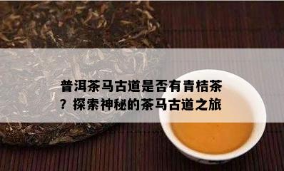 普洱茶马古道是不是有青桔茶？探索神秘的茶马古道之旅