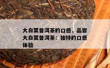 大白菜普洱茶的口感，品尝大白菜普洱茶：特别的口感体验