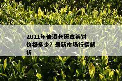 2011年普洱老班章茶饼价格多少？最新市场行情解析