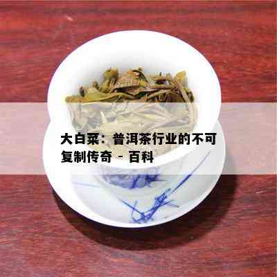 大白菜：普洱茶行业的不可复制传奇 - 百科