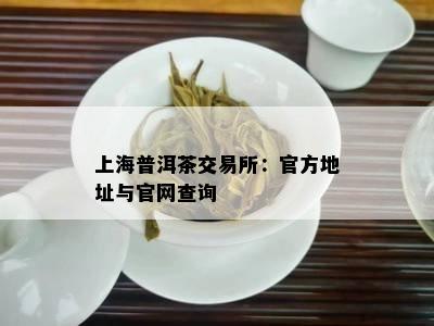 上海普洱茶交易所：官方地址与官网查询