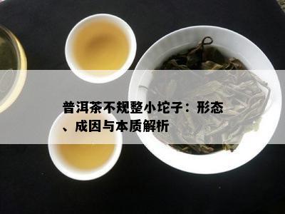 普洱茶不规整小坨子：形态、成因与本质解析