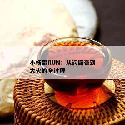 小杨哥RUN：从润唇膏到大火的全过程