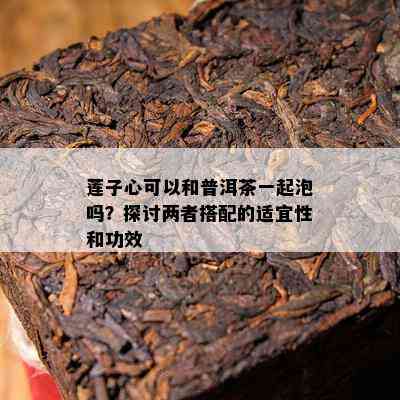 莲子心可以和普洱茶一起泡吗？探讨两者搭配的适宜性和功效