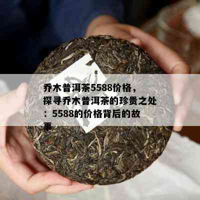 乔木普洱茶5588价格，探寻乔木普洱茶的珍贵之处：5588的价格背后的故事