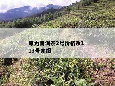 康力普洱茶2号价格及1-13号介绍