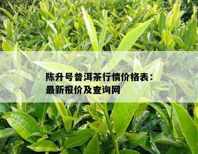 陈升号普洱茶行情价格表：最新报价及查询网