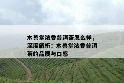 木善堂浓香普洱茶怎么样，深度解析：木善堂浓香普洱茶的品质与口感