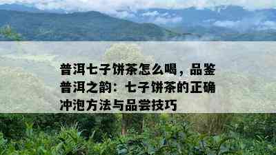 普洱七子饼茶怎么喝，品鉴普洱之韵：七子饼茶的正确冲泡方法与品尝技巧