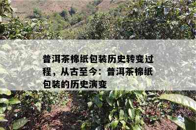 普洱茶棉纸包装历史转变过程，从古至今：普洱茶棉纸包装的历史演变