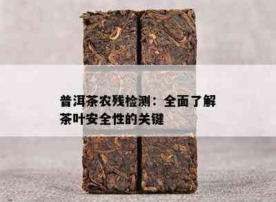 普洱茶农残检测：全面熟悉茶叶安全性的关键