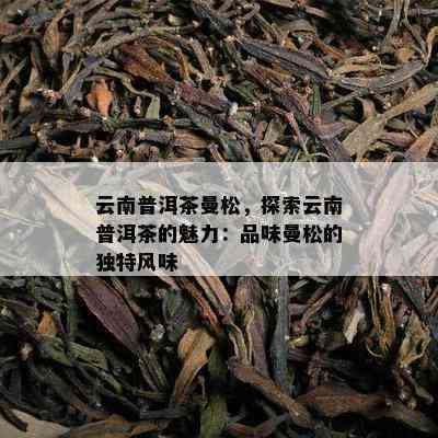 云南普洱茶曼松，探索云南普洱茶的魅力：品味曼松的特别风味